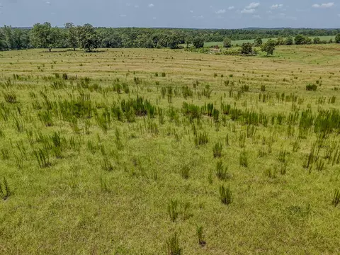 3958 Gopher Ridge Rd, See Remarks, AL photo 18