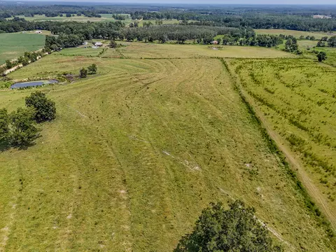 3958 Gopher Ridge Rd, See Remarks, AL photo 3
