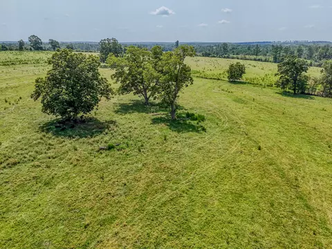 3958 Gopher Ridge Rd, See Remarks, AL photo 6