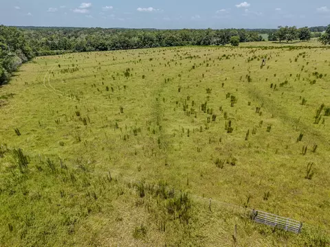 3958 Gopher Ridge Rd, See Remarks, AL photo 22