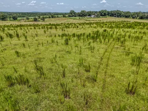 3958 Gopher Ridge Rd, See Remarks, AL photo 17