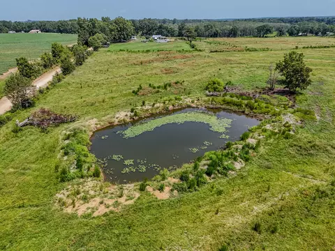 3958 Gopher Ridge Rd, See Remarks, AL photo 4