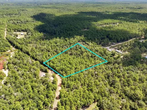 2 84 Acres White Rd, Defuniak Springs, FL 32433