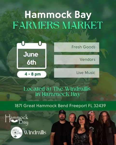Other - 400 Lilly Bell Ln, Freeport, FL 32439 photo 12 of 20