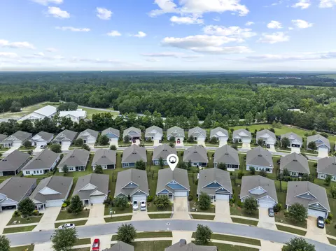View/Area - 52 Dusky Way, Freeport, FL 32439 photo 4 of 20