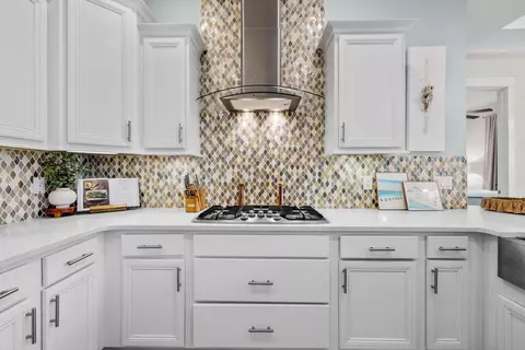 Kitchen - 145 W Pine Lands Loop UNIT C, Inlet Beach, FL 32461 photo 4 of 5