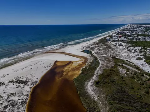 tbd N Wall North St, Inlet Beach, FL 32461 photo 11