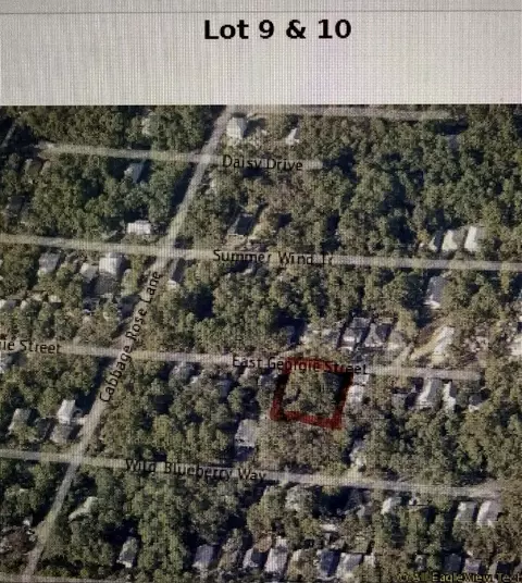 lot9 E Georgie St, Santa Rosa Beach, FL 32459
