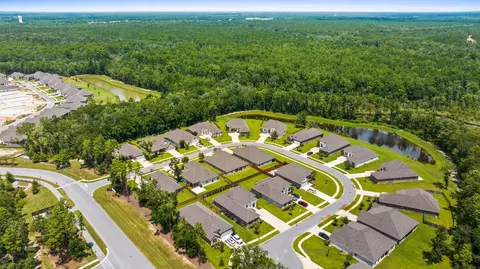 View/Area - 148 Flora Ln, Freeport, FL 32439 photo 7 of 8