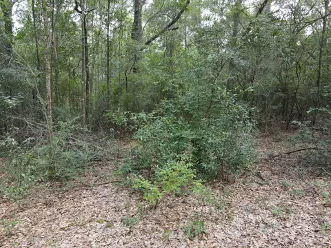 4 41 Ac Summertime Dr, Holt, FL 32564 photo 7