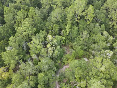 4 41 Ac Summertime Dr, Holt, FL 32564 photo 2
