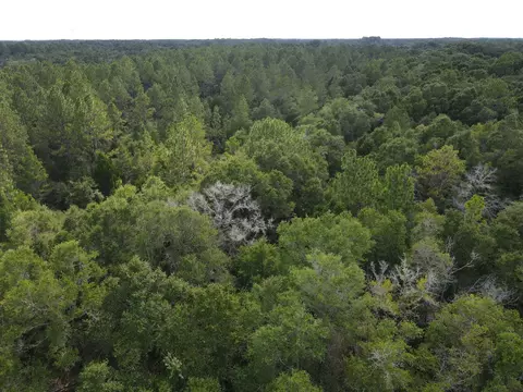 4 41 Ac Summertime Dr, Holt, FL 32564 photo 12