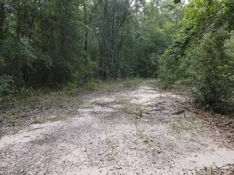 4 41 Ac Summertime Dr, Holt, FL 32564 photo 4