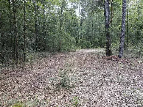 4 41 Ac Summertime Dr, Holt, FL 32564 photo 6