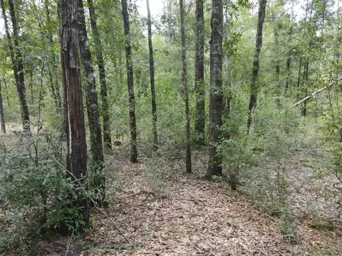4 41 Ac Summertime Dr, Holt, FL 32564 photo 10
