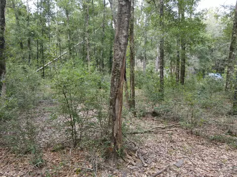 4 41 Ac Summertime Dr, Holt, FL 32564 photo 8