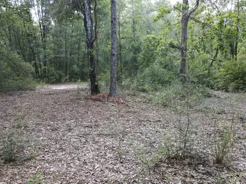 4 41 Ac Summertime Dr, Holt, FL 32564 photo 5