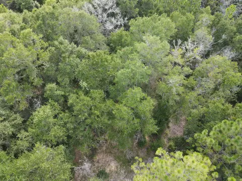 4 41 Ac Summertime Dr, Holt, FL 32564 photo 11