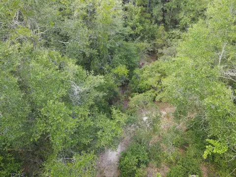 4 41 Ac Summertime Dr, Holt, FL 32564 photo 3