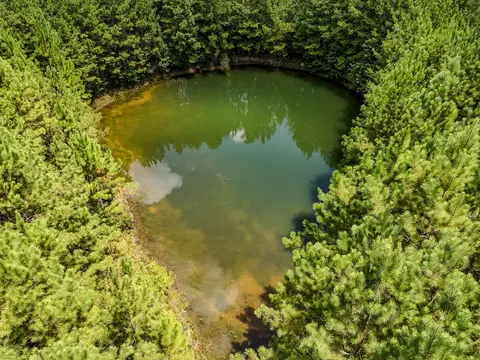 27 79 Acre County Highway 183b, Defuniak Springs, FL 32433