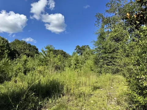 14 15 16 4th Ave, Florala, AL 36442