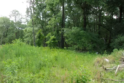 5902 Roberts Rd, Crestview, FL 32536 photo 4
