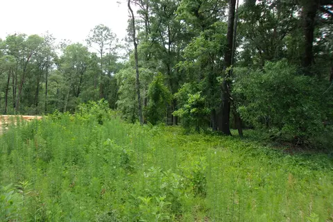 5902 Roberts Rd, Crestview, FL 32536 photo 6