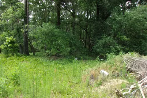 5902 Roberts Rd, Crestview, FL 32536 photo 5
