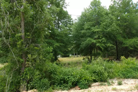 5902 Roberts Rd, Crestview, FL 32536 photo 2