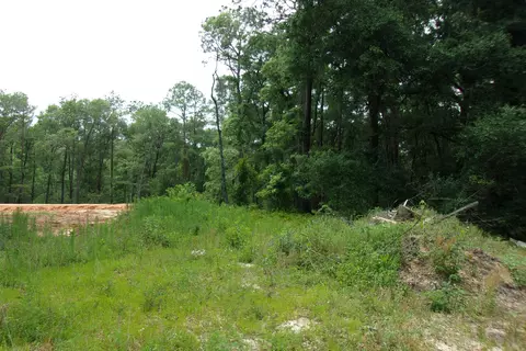 5902 Roberts Rd, Crestview, FL 32536 photo 3