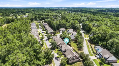 View/Area - 46 Laurel Oaks Dr, Freeport, FL 32439 photo 3 of 6