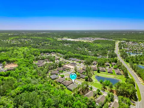 View/Area - 71 Leap Year Ln, Freeport, FL 32439 photo 15 of 34