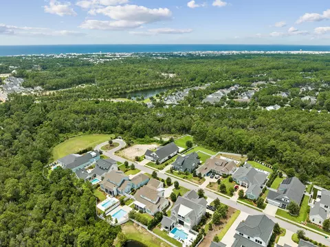 View/Area - 224 Needle Cast Ln, Watersound, FL 32461 photo 3 of 6