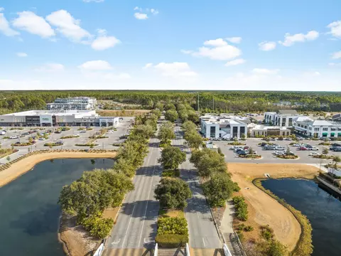 View/Area - 224 Needle Cast Ln, Watersound, FL 32461 photo 6 of 6