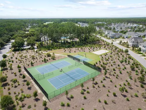 View/Area - 224 Needle Cast Ln, Watersound, FL 32461 photo 4 of 6