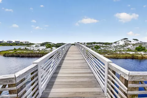 View/Area - 337 S Bridge Ln # 314B, Watersound, FL 32461 photo 10 of 13
