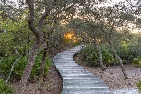 Other - 337 S Bridge Ln # 314B, Watersound, FL 32461 photo 9 of 17