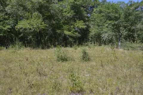 32 Acres Aplin Rd, Crestview, FL 32539 photo 13