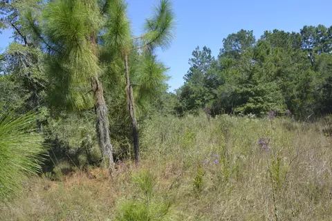 32 Acres Aplin Rd, Crestview, FL 32539 photo 12