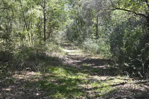 32 Acres Aplin Rd, Crestview, FL 32539 photo 2