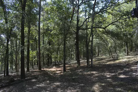 32 Acres Aplin Rd, Crestview, FL 32539 photo 6
