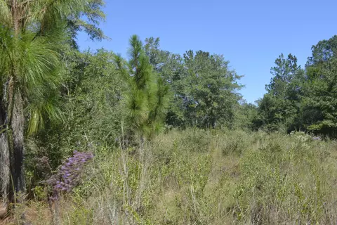 32 Acres Aplin Rd, Crestview, FL 32539 photo 11