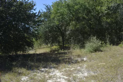 32 Acres Aplin Rd, Crestview, FL 32539 photo 14