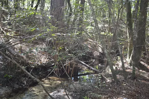 32 Acres Aplin Rd, Crestview, FL 32539 photo 18