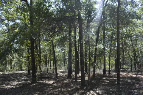 32 Acres Aplin Rd, Crestview, FL 32539 photo 8