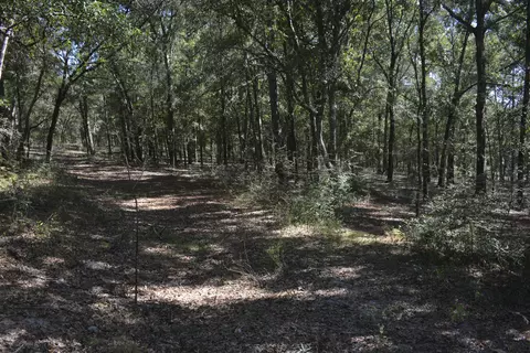 32 Acres Aplin Rd, Crestview, FL 32539 photo 5