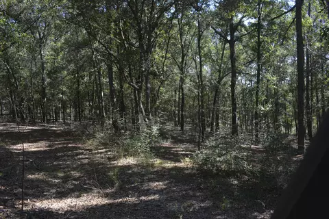 32 Acres Aplin Rd, Crestview, FL 32539 photo 4