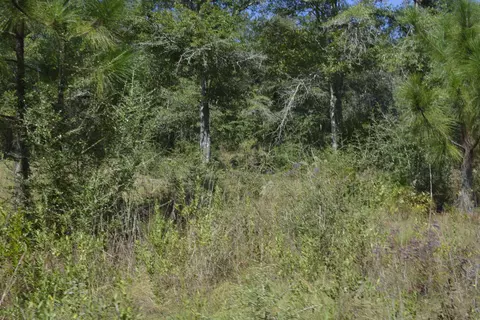 32 Acres Aplin Rd, Crestview, FL 32539 photo 10