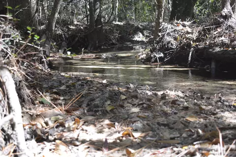 32 Acres Aplin Rd, Crestview, FL 32539 photo 17