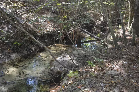 32 Acres Aplin Rd, Crestview, FL 32539 photo 15